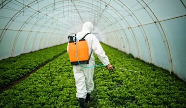 Pesticides dans l’Union européenne : qui décide de leur autorisation et selon quels critères ?