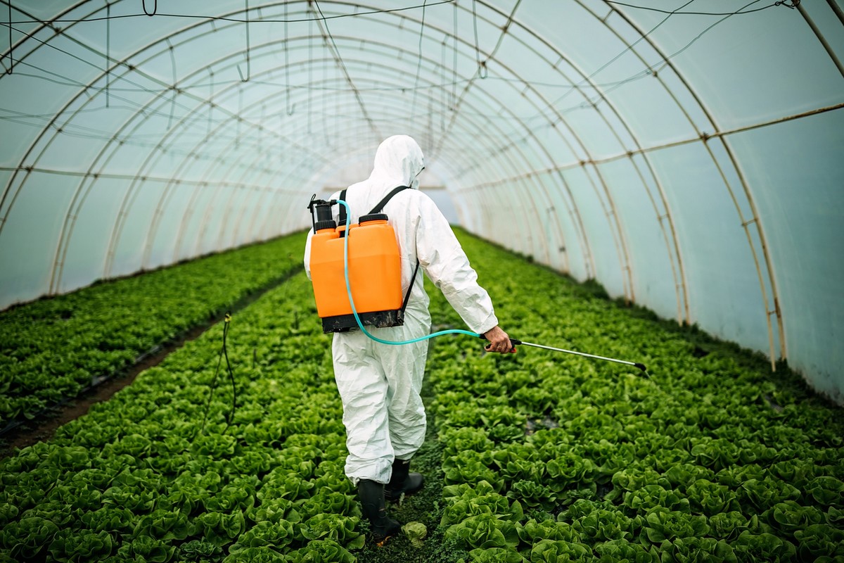 Pesticides dans l’Union européenne : qui décide de leur autorisation et selon quels critères ?