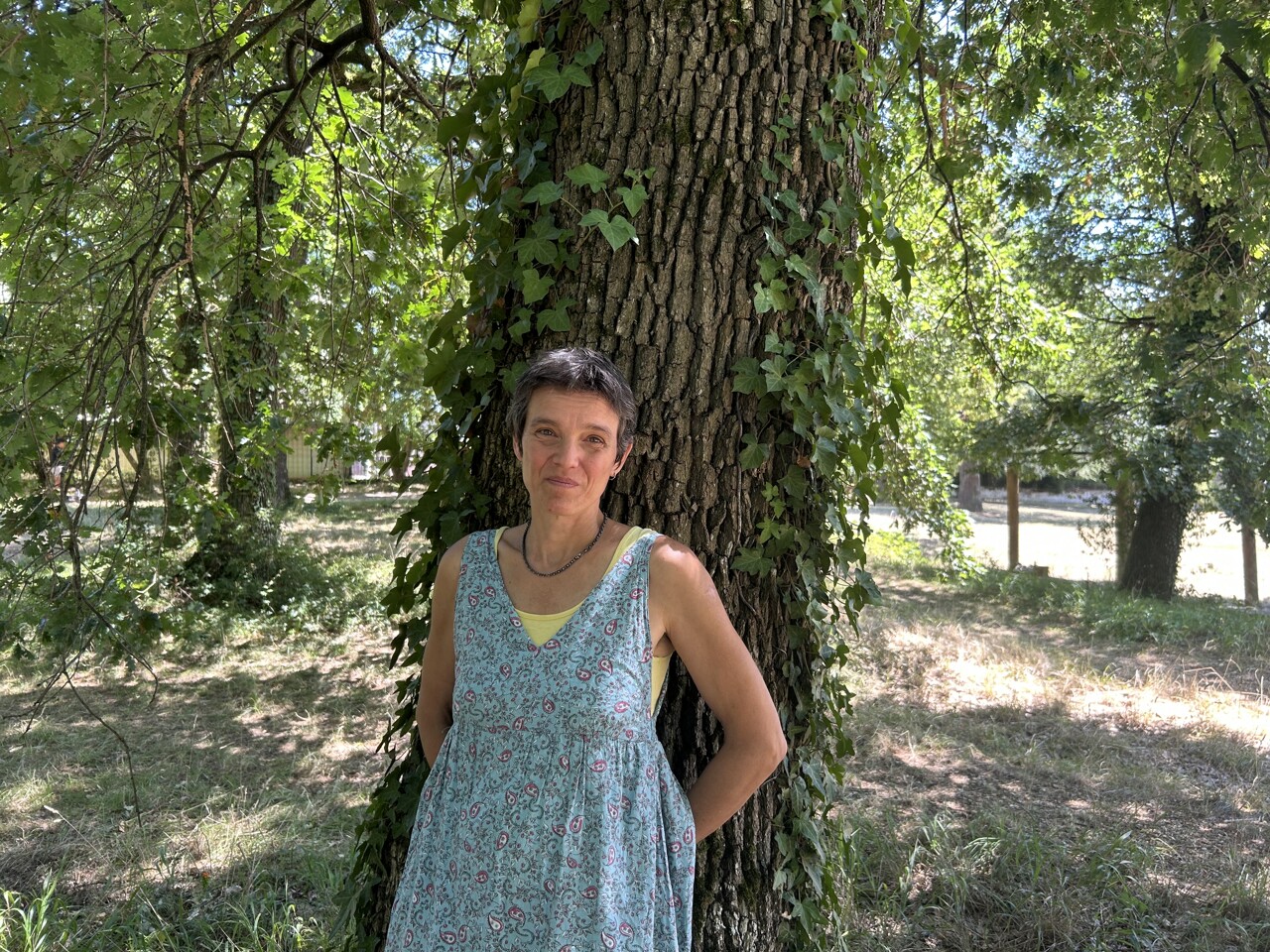 Un projet de parc d’aventure dans ce “poumon vert” près de Bordeaux provoque la colère des riverains