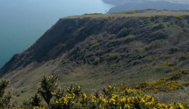 l'Irlande « un clin d’œil à l’autre peuple vert »