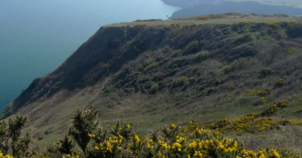 l'Irlande « un clin d’œil à l’autre peuple vert »