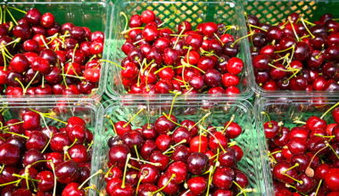 A la Ferme des Fruitiers, la cerise ouvre le bal de l’été !