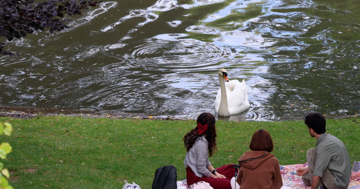 Strasbourg. Il exhibe son sexe au parc de l’Orangerie et agresse une jeune femme