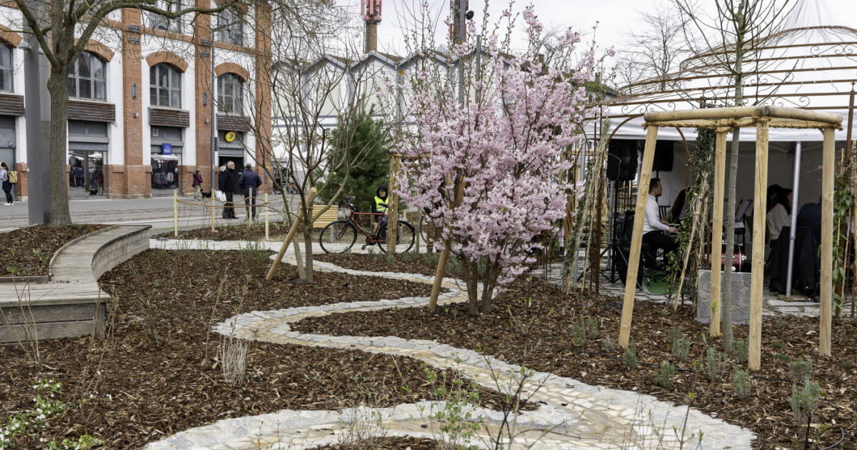 Illkirch-Graffenstaden. Le Plan climat dans les clous, des projets en vue