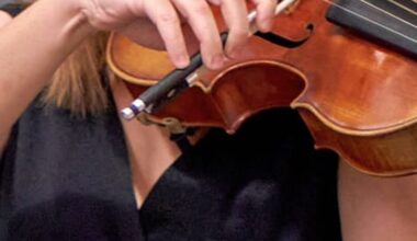 Strasbourg. Variations Goldberg pour cordes