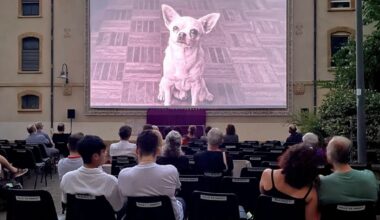 Nancy. Le marronnier, le chihuahua et l’enfant au festival du film de Nancy