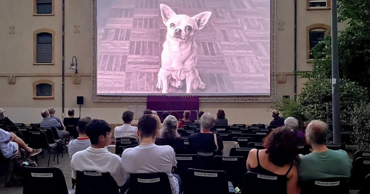 Nancy. Le marronnier, le chihuahua et l’enfant au festival du film de Nancy