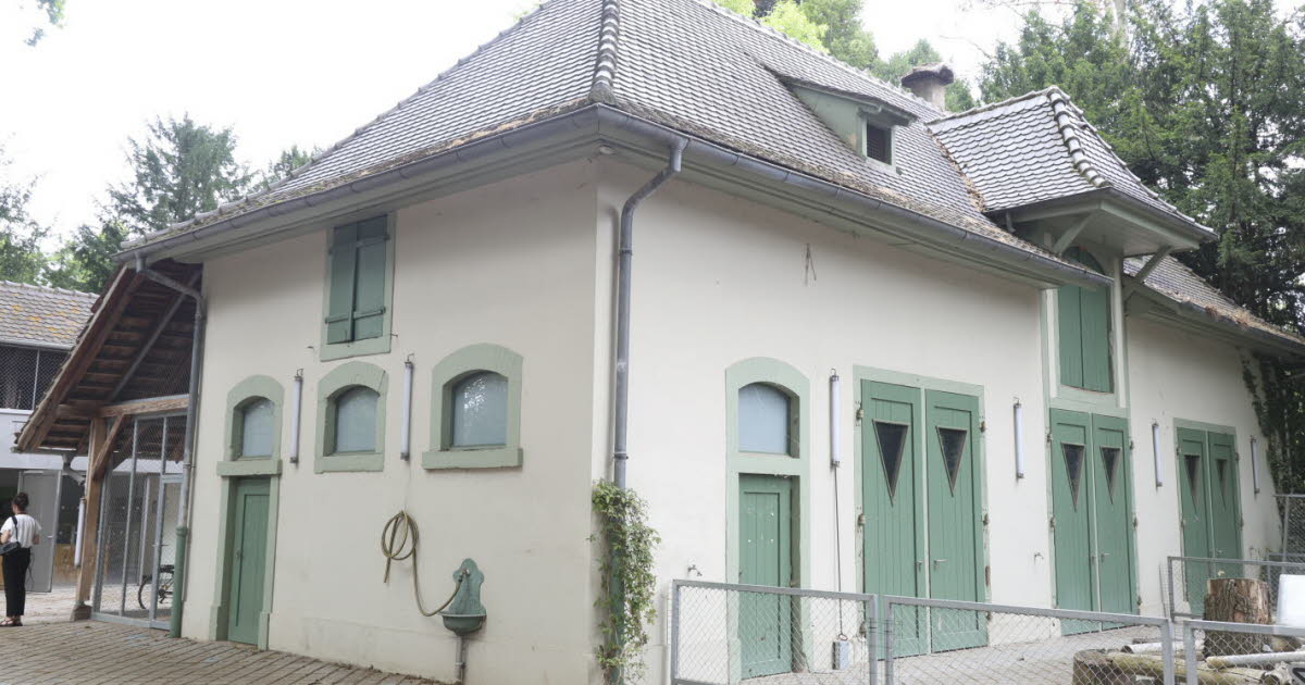 Strasbourg. On connaît enfin le nouveau nom du zoo de l’Orangerie