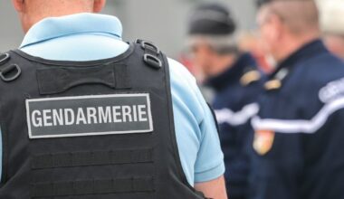 Meurthe-et-Moselle. Un ex-handballeur nancéien joue à « chat-bite » avec des gendarmes de l’Isère