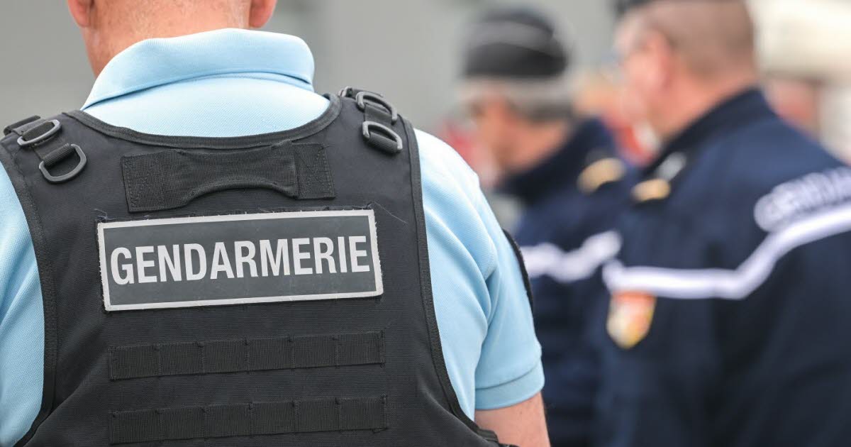 Meurthe-et-Moselle. Un ex-handballeur nancéien joue à « chat-bite » avec des gendarmes de l’Isère