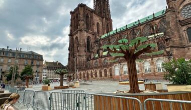 Strasbourg. La (mini-)forêt immersive va s’animer dès samedi, au pied de la cathédrale