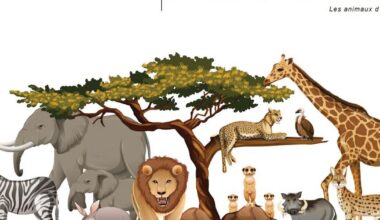 Bilinguisme. Le nouveau cahier de vacances de l’Olca consacré aux animaux d’Afrique