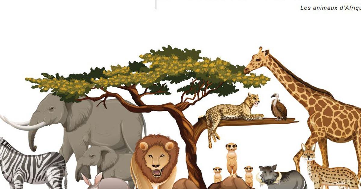 Bilinguisme. Le nouveau cahier de vacances de l’Olca consacré aux animaux d’Afrique