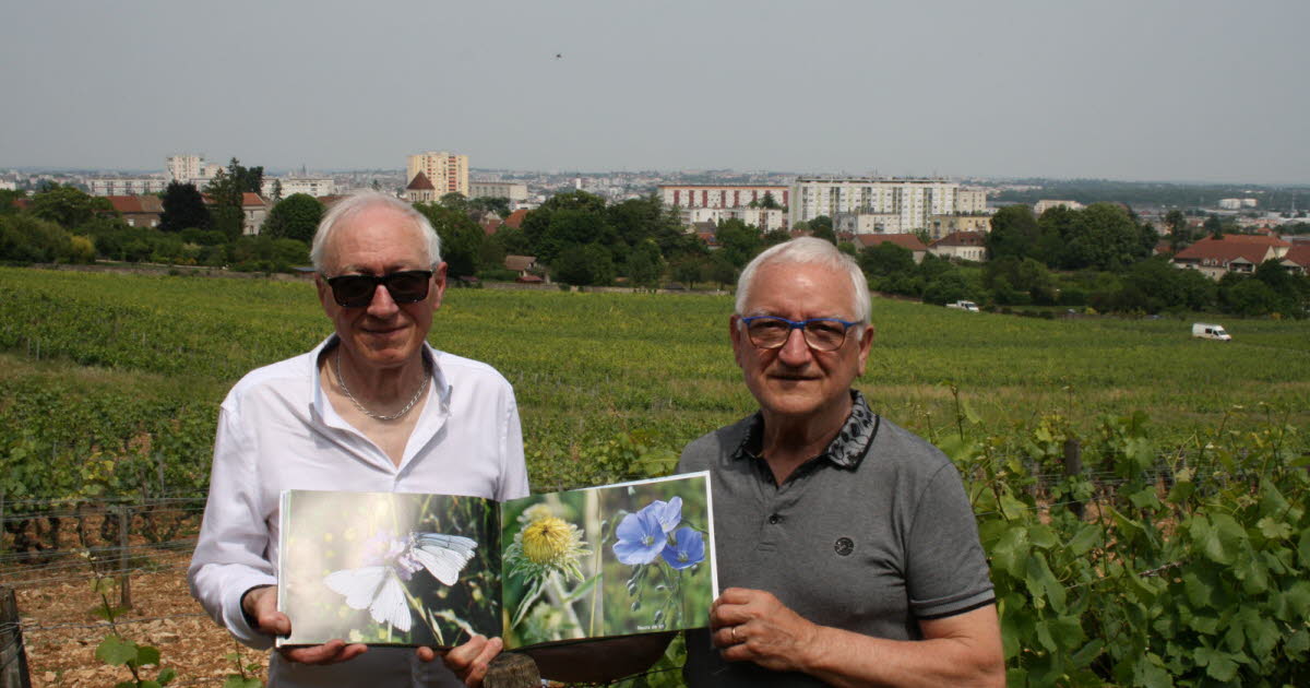 Chenôve. Ils racontent l’histoire et les richesses de leur ville dans un livre photo