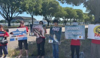 Métropole de Lyon. Ils manifestent contre la vente de poissons vivants devant le Decathlon de Bron ce samedi
