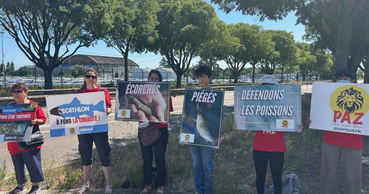 Métropole de Lyon. Ils manifestent contre la vente de poissons vivants devant le Decathlon de Bron ce samedi