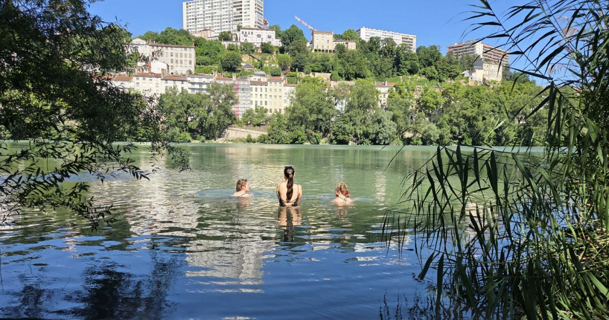 malgré le danger, les baignades interdites dans le Rhône continuent