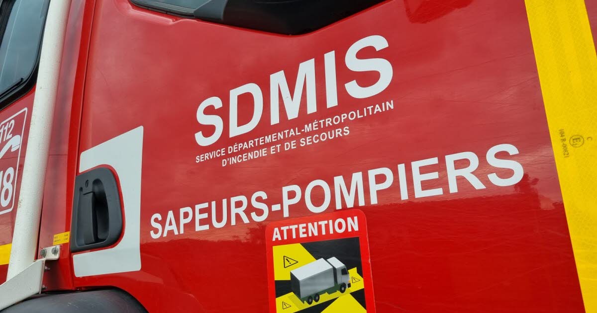 Métropole de Lyon. Les pompiers interviennent pour une crise de démence, l’un d’entre eux se fait mordre