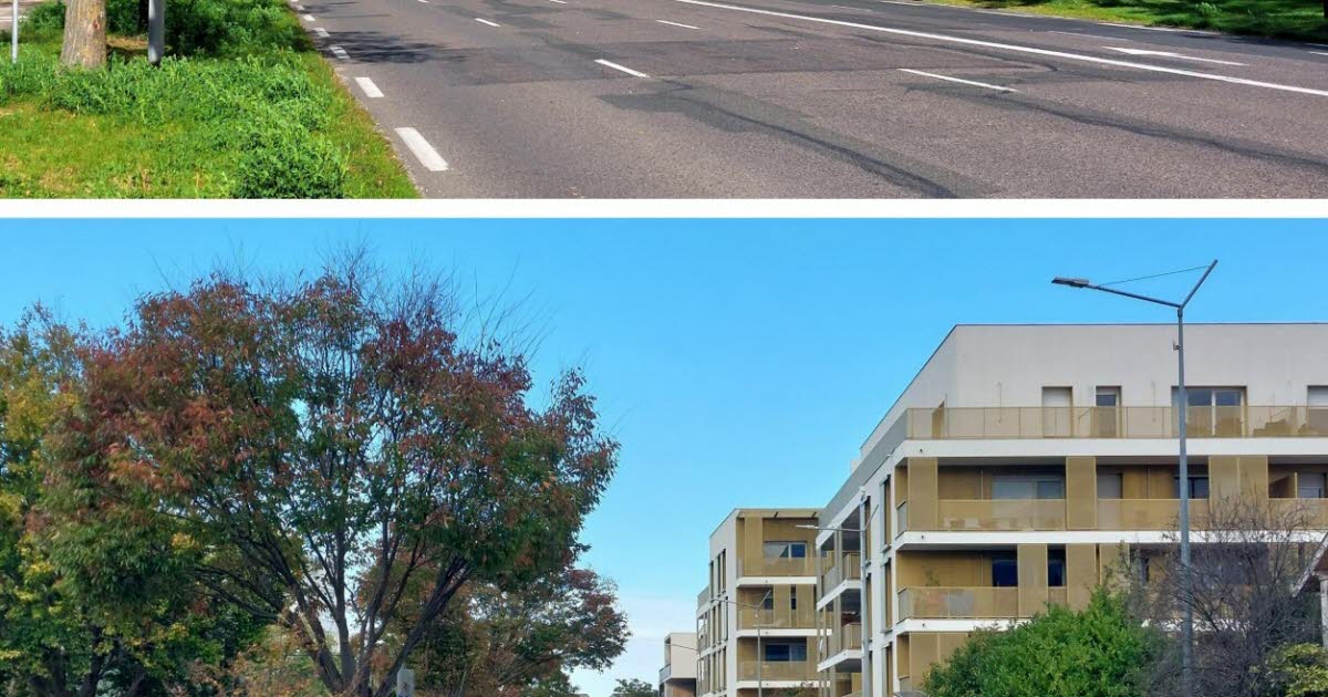 les tracés du BHNS et du T8 sont-ils trop proches ?
