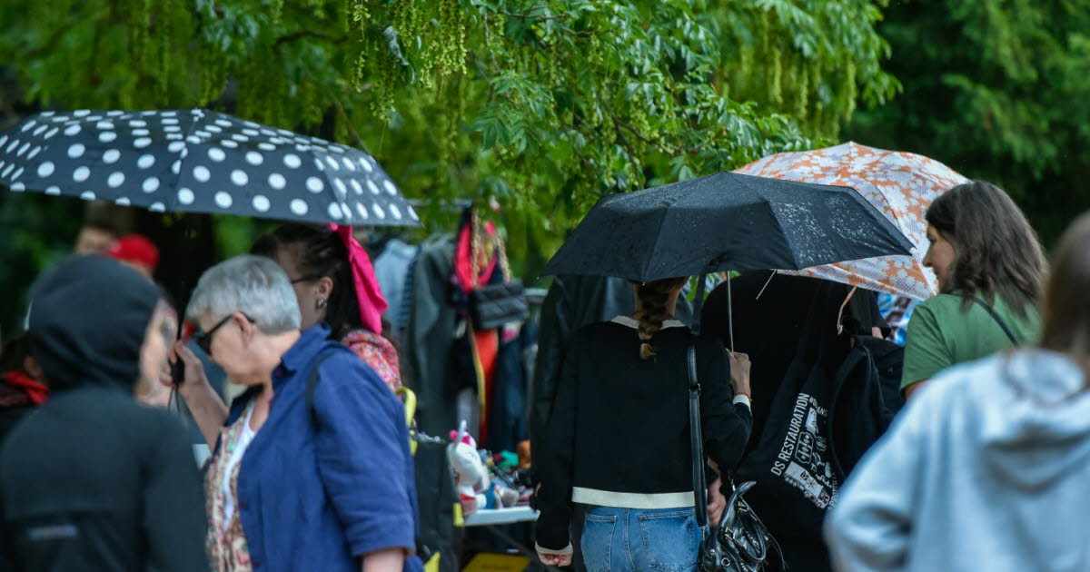 Nancy. Le coup du parapluie pour la brocante 1900 du parc Sainte-Marie