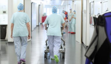 Strasbourg. Des cochons priorisés sur des malades du cancer à l’IHU : une enquête en cours