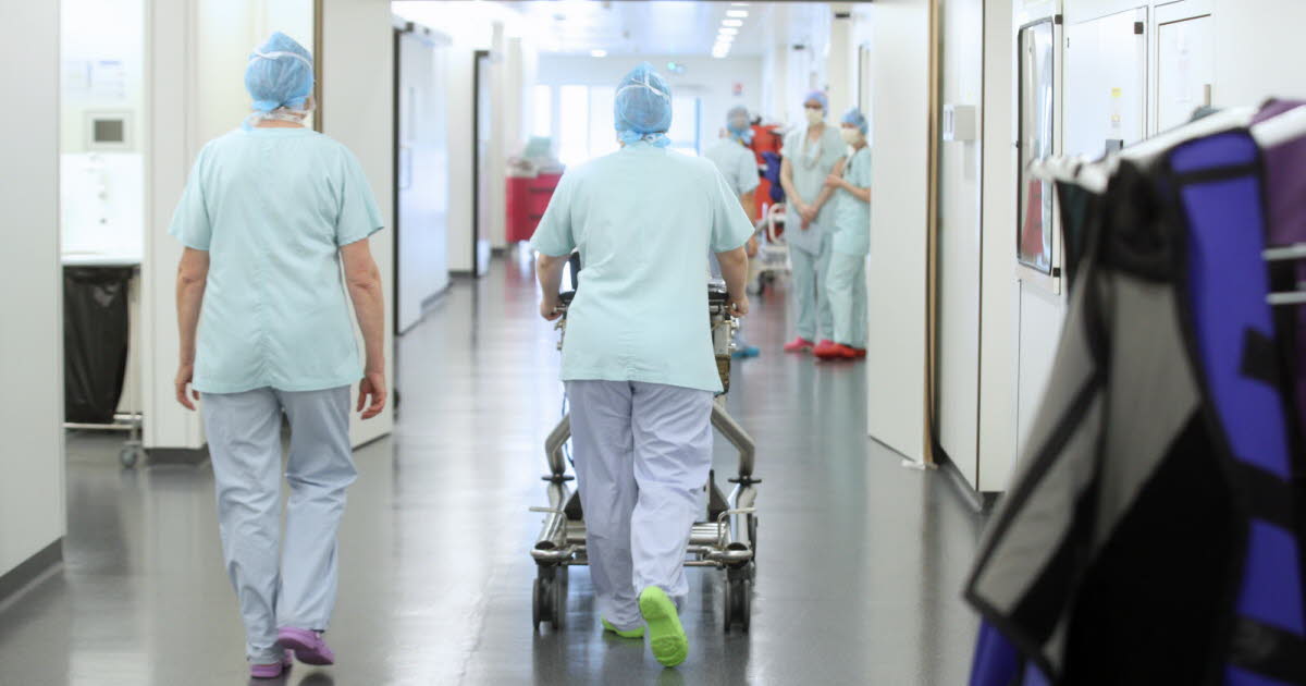 Strasbourg. Des cochons priorisés sur des malades du cancer à l’IHU : une enquête en cours