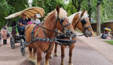 Nancy. Une calèche s’installe à la Pépinière pour l’été