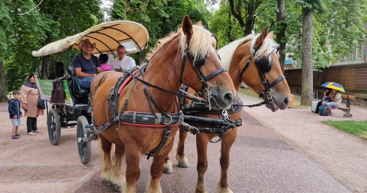 Nancy. Une calèche s’installe à la Pépinière pour l’été