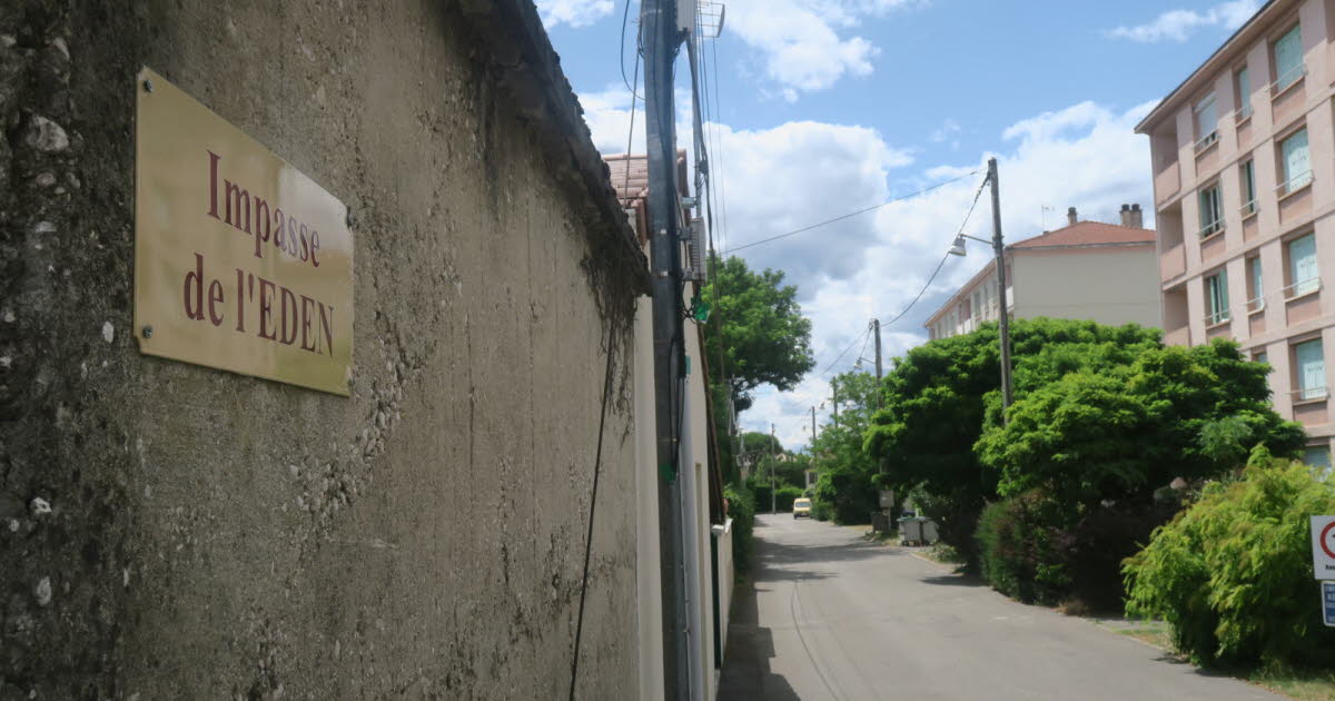 Drôme. Après celui de Montoison, un nouveau cas de chikungunya détecté à Romans-sur-Isère