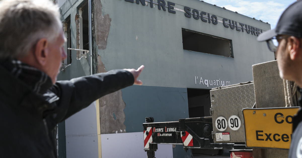 Strasbourg. Au CSC Victor-Schoelcher, des initiatives pour garder le lien hors de l’Aquarium fermé pour 2 ans