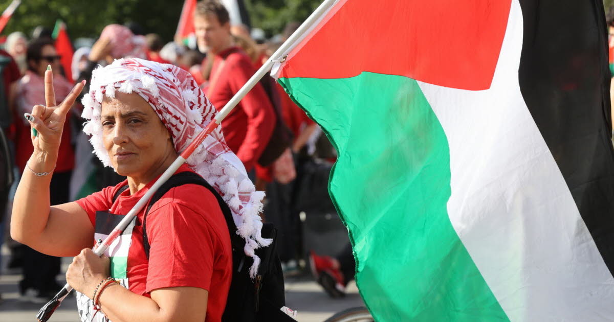 Manifestation. Une « ligne rouge » pour Gaza dans les rues de Strasbourg
