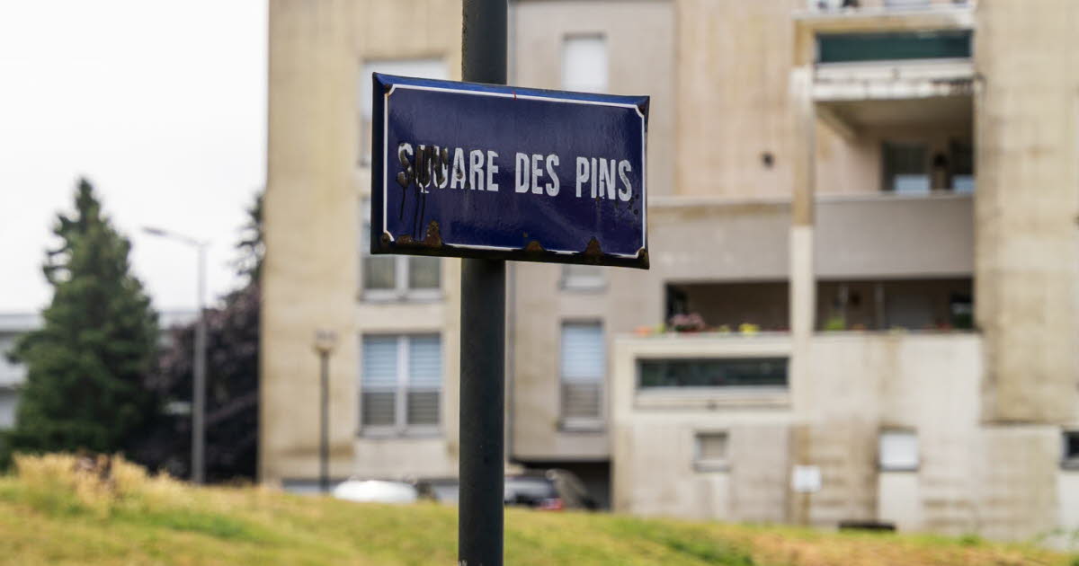 une femme abattue, son compagnon blessé, deux suspects en fuite... Ce que l'on sait