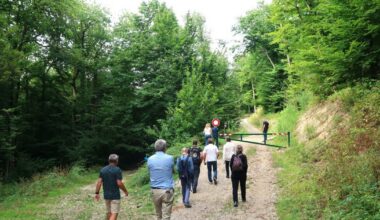 Métropole de Grenoble. En forêt de Jarrie, une nouvelle route forestière très attendue