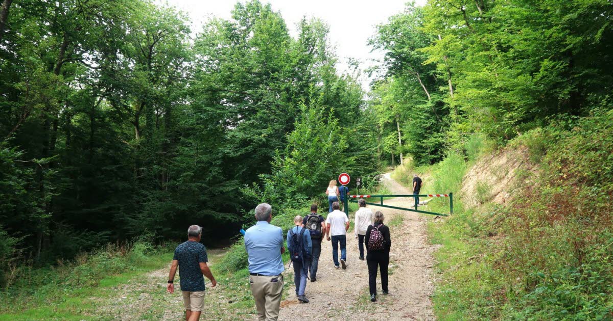 Métropole de Grenoble. En forêt de Jarrie, une nouvelle route forestière très attendue