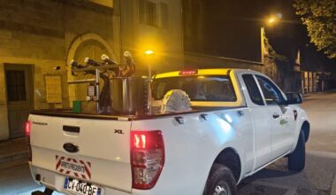 Dijon. Un cas de dengue détecté quartier Mansart - Le Bien Public