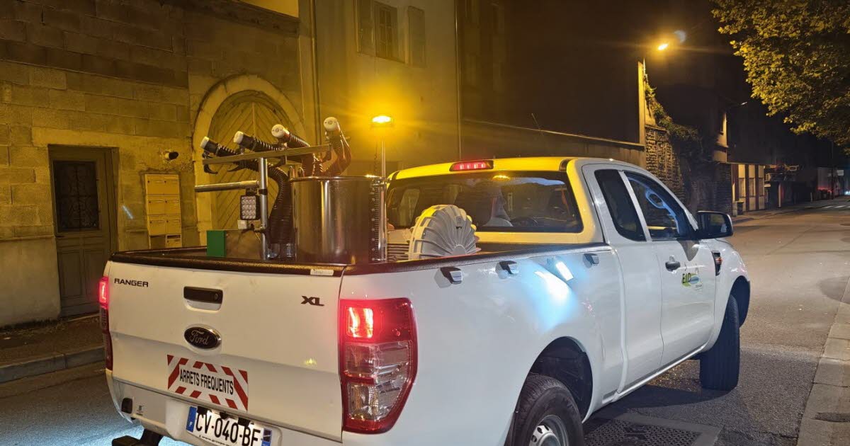 Dijon. Un cas de dengue détecté quartier Mansart - Le Bien Public