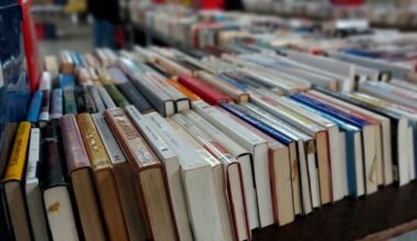 L'Isle-sur-le-Doubs. Bourse aux livres et dédicace le 14 juillet