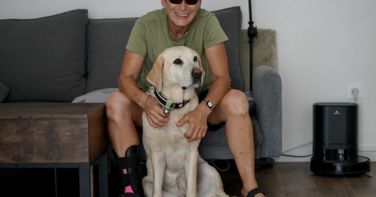 Alsace. Joëlle Melder, marcher dans les pas de son chien guide de Strasbourg à Metz