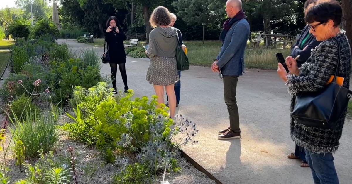 Nancy passé au crible pour le renouvellement du label