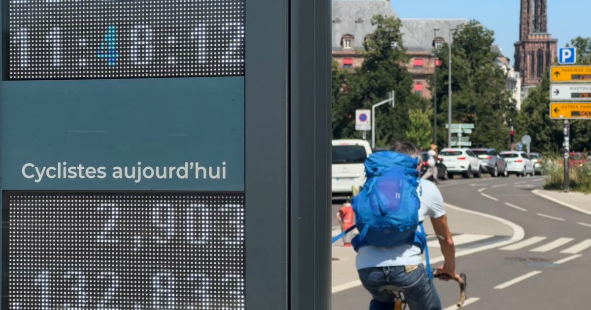Strasbourg. Pour la borne dénombrant les vélos installée rue de Vienne, le compte est à nouveau bon