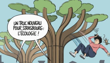 réconcilier la ville avec l'écologie ?