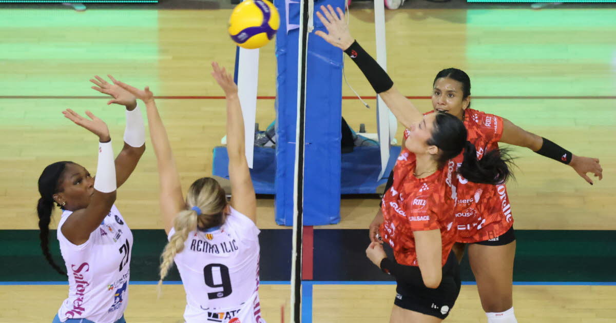 Volley-ball. Un club emblématique de Ligue A féminine liquidé