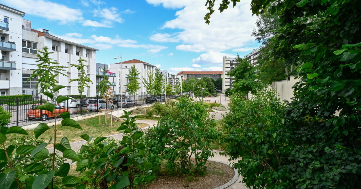 Nancy- La photo du jour. Le discret square Jules-Dorget, une oasis entre les immeubles