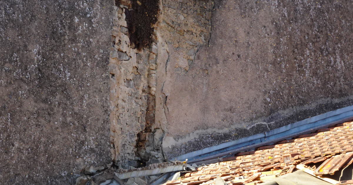 En image | Fléville-devant-Nancy. Un essaim d’abeilles entraîne la chute d’une cheminée