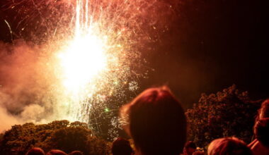 Grenoble. Une affluence record pour le feu d’artifice du 14-Juillet