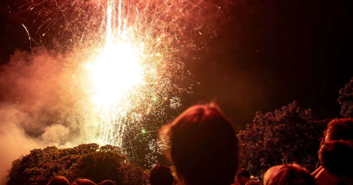 Grenoble. Une affluence record pour le feu d’artifice du 14-Juillet