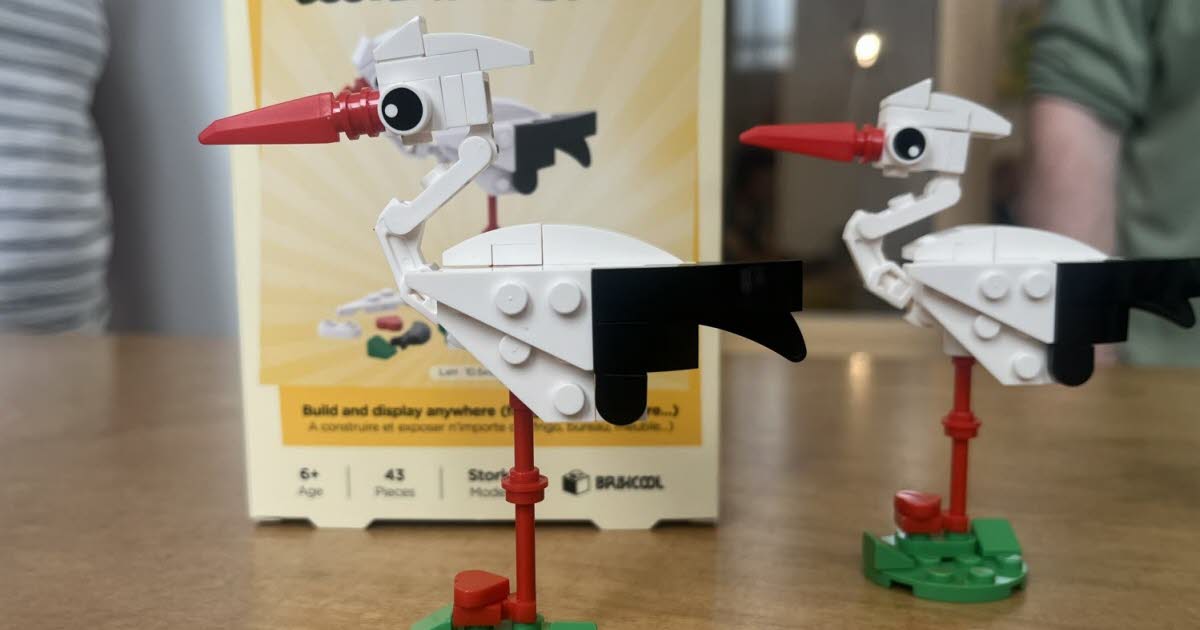 Consommation. BrixCool, un nouveau jeu de construction pour les fans d’Alsace et de Lego®