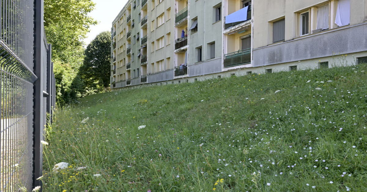Lyon. L’évadé de la prison de Corbas et son complice présentés à un juge d’instruction