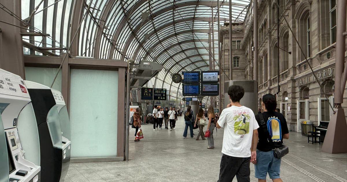 Strasbourg. Nombre de voyageurs, places de parking... les cinq chiffres à retenir sur le projet de gare à 360°
