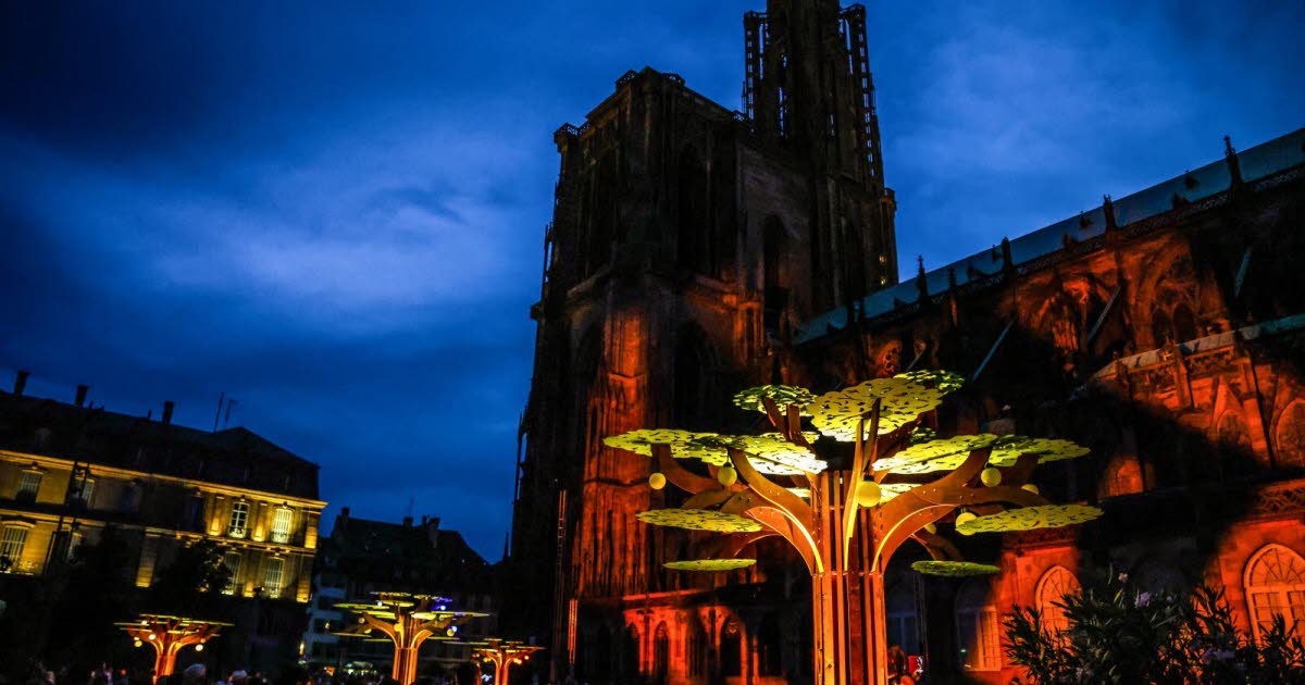nos idées de sorties à Strasbourg